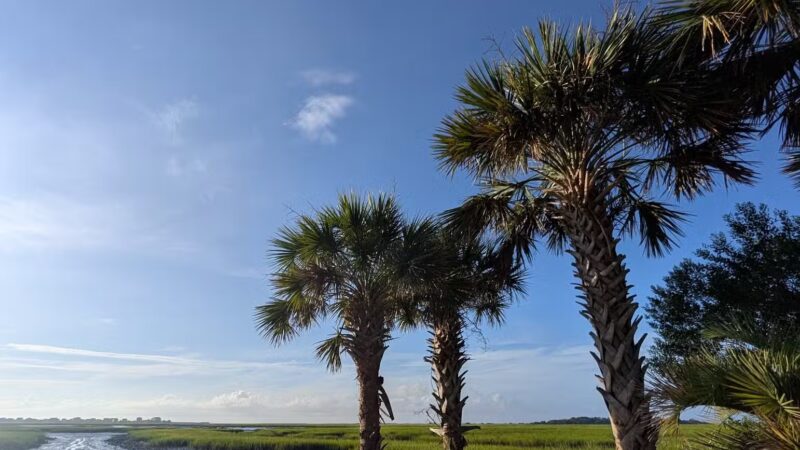 Morse Park Landing - Murrells Inlet, SC