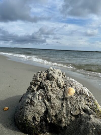 Huntington State park jetty - Murrells Inlet, SC