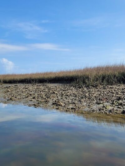 Huntington State park jetty - Murrells Inlet, SC