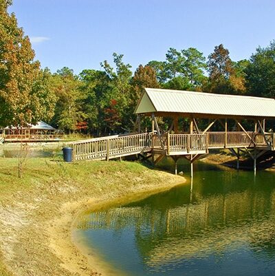 A Dog's Way Inn, Dog Boarding, Dog Day Care, Grooming, Training, Dog Park, Dock Diving - Murrells Inlet, SC