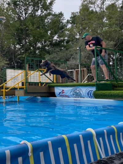 A Dog's Way Inn, Dog Boarding, Dog Day Care, Grooming, Training, Dog Park, Dock Diving - Murrells Inlet, SC