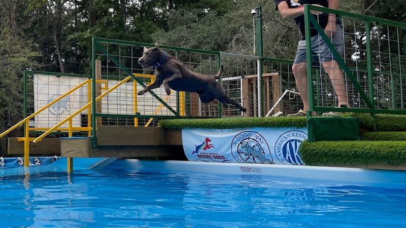 A Dog's Way Inn, Dog Boarding, Dog Day Care, Grooming, Training, Dog Park, Dock Diving - Murrells Inlet, SC