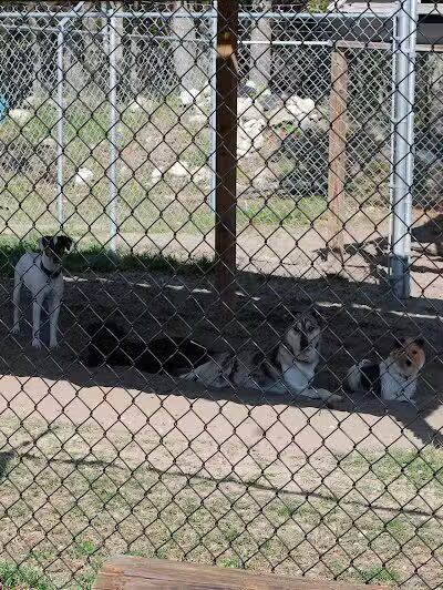 A Dog's Way Inn, Dog Boarding, Dog Day Care, Grooming, Training, Dog Park, Dock Diving - Murrells Inlet, SC