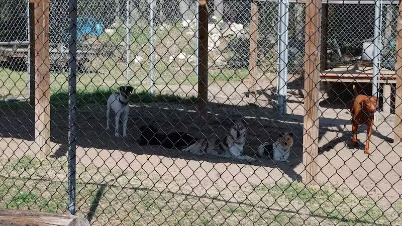 A Dog's Way Inn, Dog Boarding, Dog Day Care, Grooming, Training, Dog Park, Dock Diving - Murrells Inlet, SC