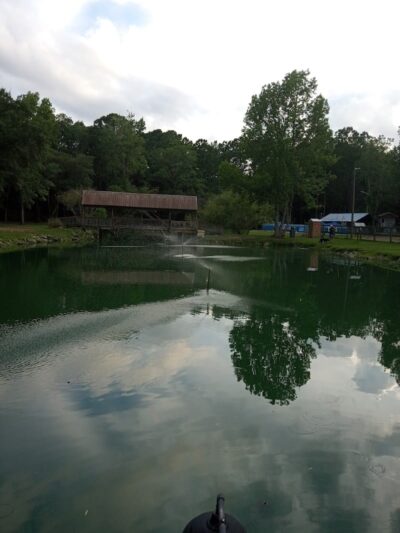 Barking Dawgs Tavern - Murrells Inlet, SC