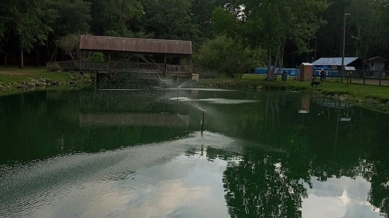 Barking Dawgs Tavern - Murrells Inlet, SC