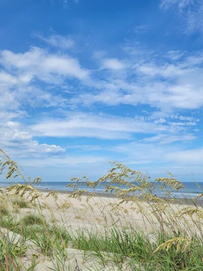 Ceremony - Huntington Beach State Park - Murrells Inlet, SC