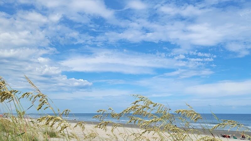 Ceremony - Huntington Beach State Park - Murrells Inlet, SC
