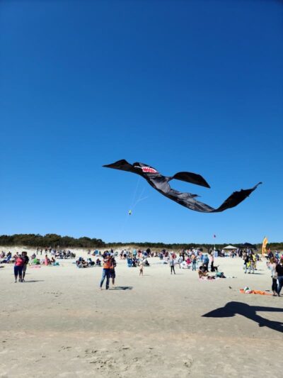Ceremony - Huntington Beach State Park - Murrells Inlet, SC