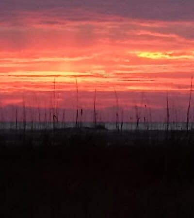 Ceremony - Huntington Beach State Park - Murrells Inlet, SC