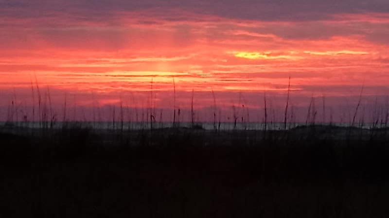 Ceremony - Huntington Beach State Park - Murrells Inlet, SC