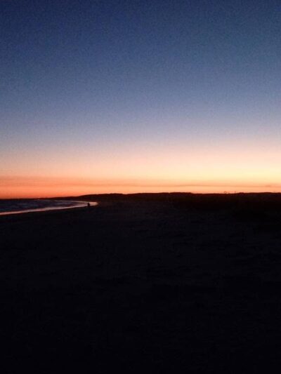 Ceremony - Huntington Beach State Park - Murrells Inlet, SC