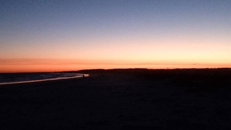 Ceremony - Huntington Beach State Park - Murrells Inlet, SC