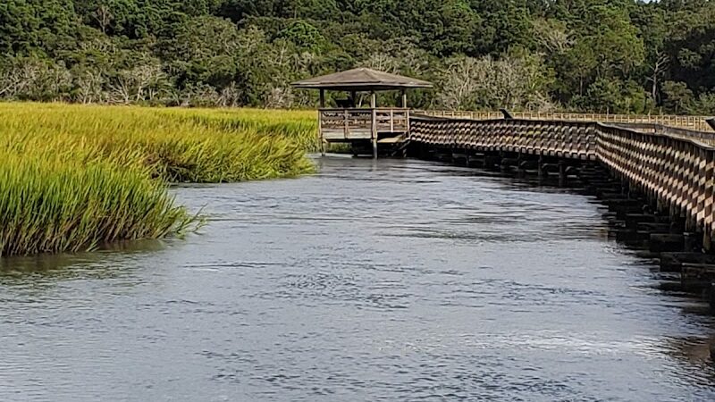 Huntington Beach State Park - Murrells Inlet, SC