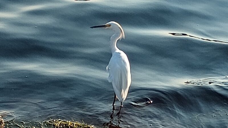 Huntington Beach State Park - Murrells Inlet, SC