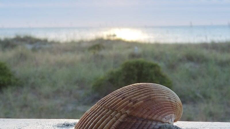 Love's a Beach - Murrells Inlet, SC