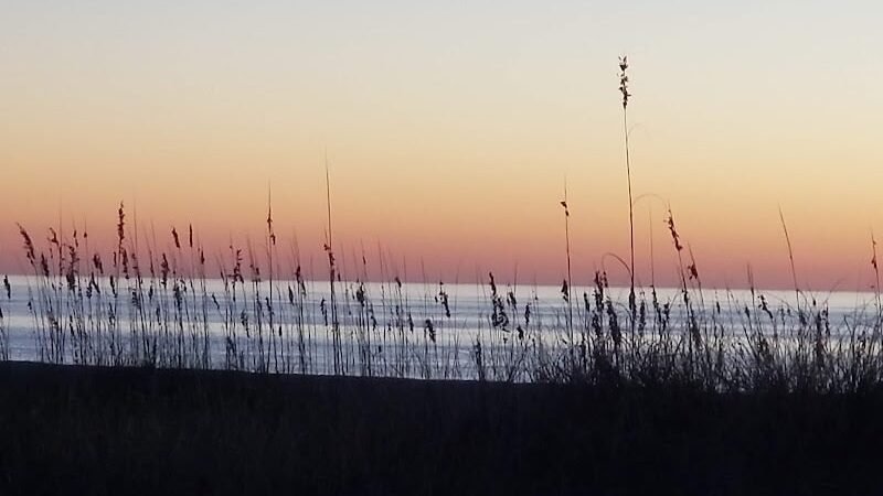 Love's a Beach - Murrells Inlet, SC