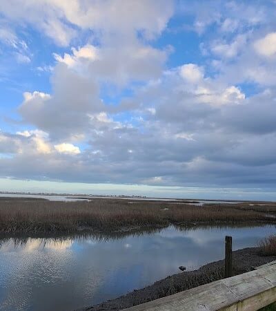 Morse Park Landing - Murrells Inlet, SC