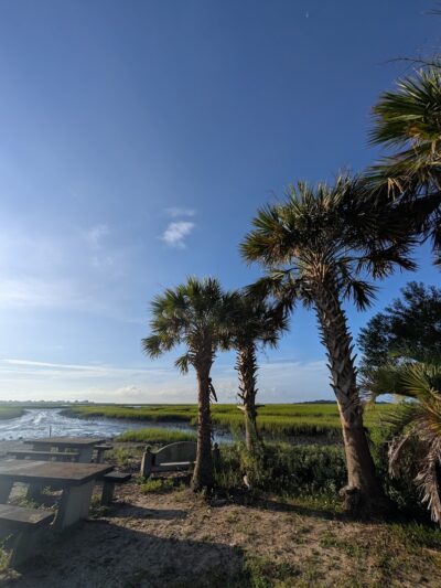 Morse Park Landing - Murrells Inlet, SC