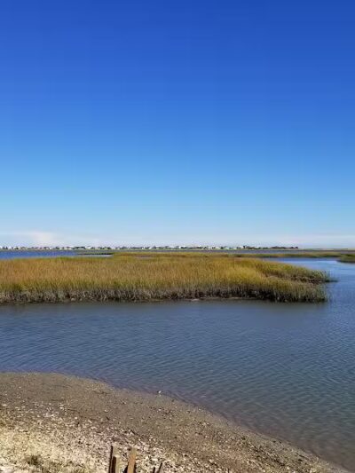 Morse Park Landing - Murrells Inlet, SC