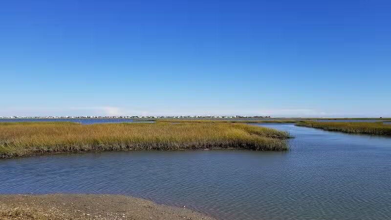 Morse Park Landing - Murrells Inlet, SC