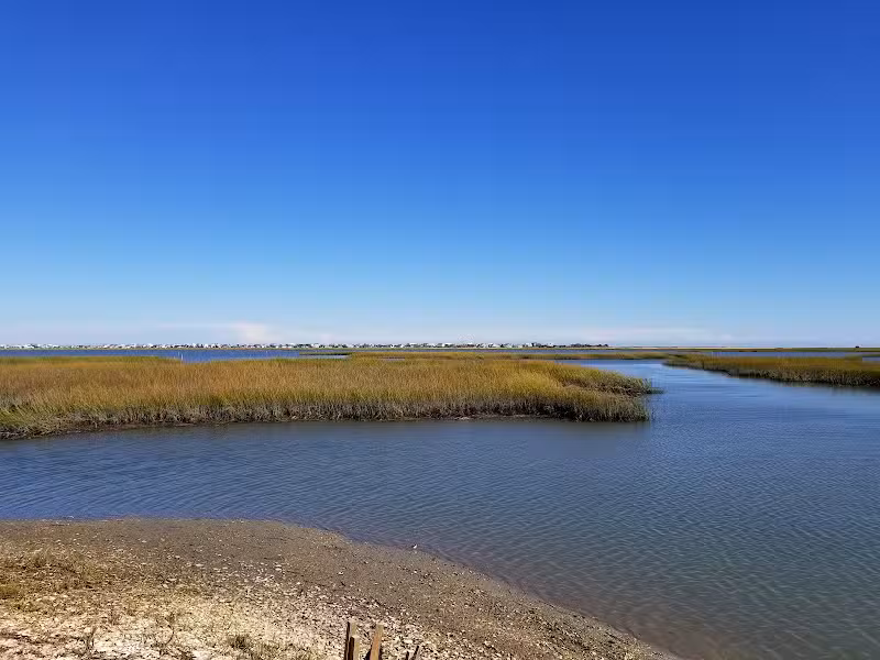 Morse Park Landing - Murrells Inlet, SC