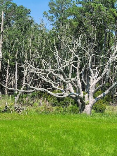 Murrells Inlet South Jetty - Murrells Inlet, SC