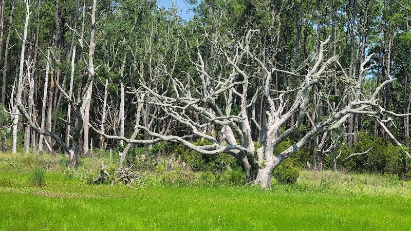 Murrells Inlet South Jetty - Murrells Inlet, SC