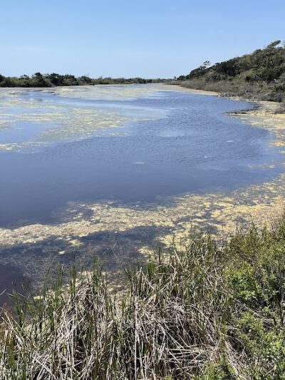 Murrells Inlet South Jetty - Murrells Inlet, SC