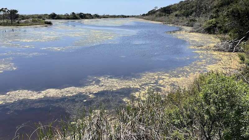 Murrells Inlet South Jetty - Murrells Inlet, SC