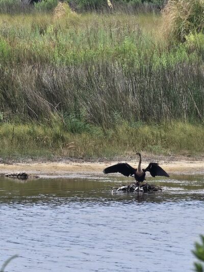 Sandpiper Pond Trail - Murrells Inlet, SC