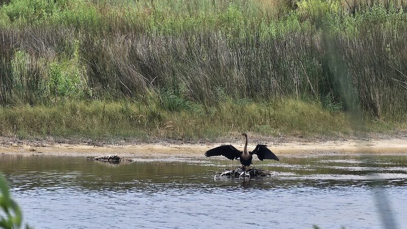 Sandpiper Pond Trail - Murrells Inlet, SC