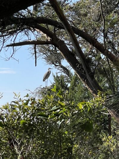 Sandpiper Pond Trail - Murrells Inlet, SC