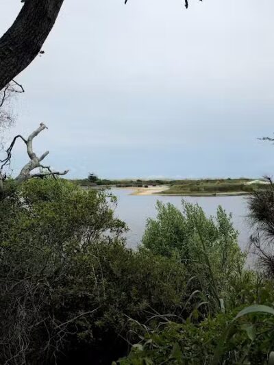 Sandpiper Pond Trail - Murrells Inlet, SC