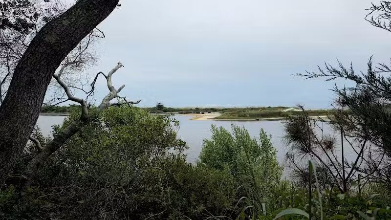 Sandpiper Pond Trail - Murrells Inlet, SC