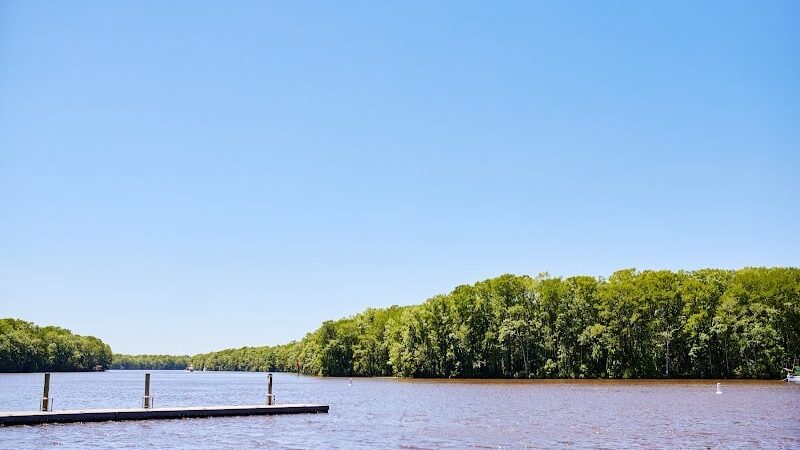 The Lively Murrells Inlet - Murrells Inlet, SC
