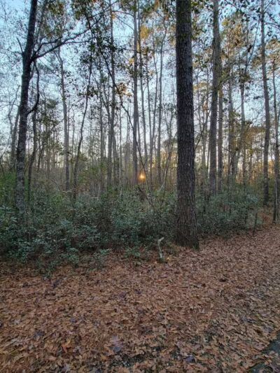 Wachesaw Ball Park - Murrells Inlet, SC