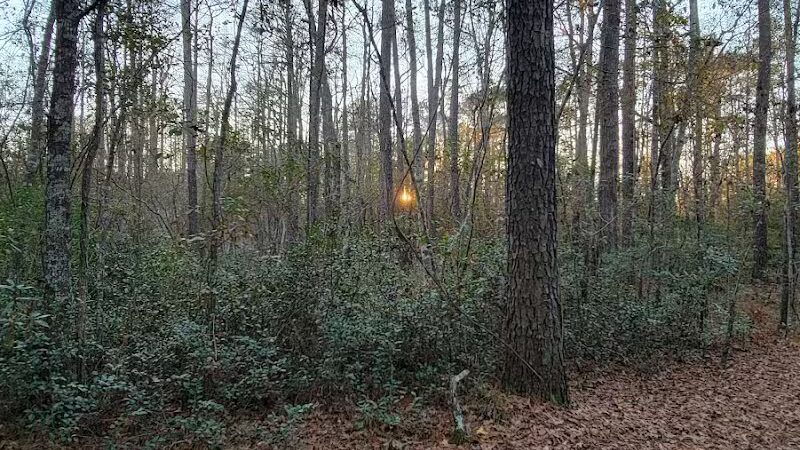 Wachesaw Ball Park - Murrells Inlet, SC