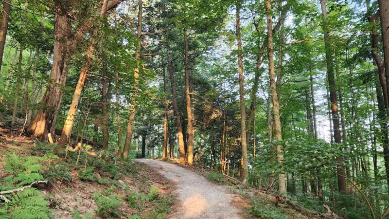 Duff Park - Murrysville, PA