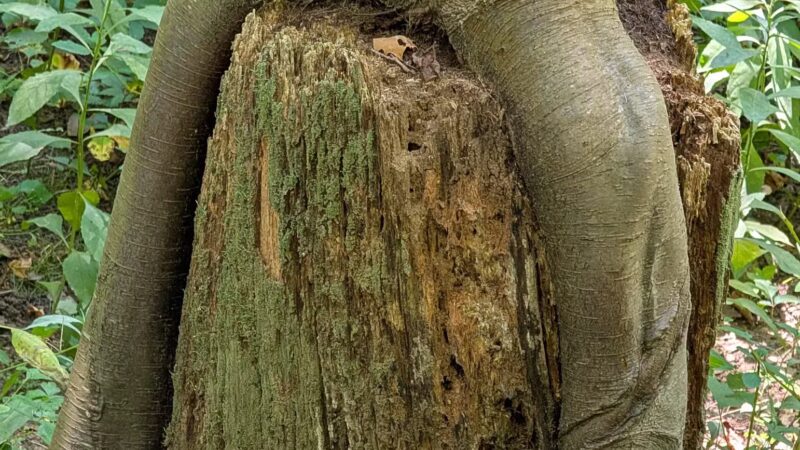 Duff Park - Murrysville, PA