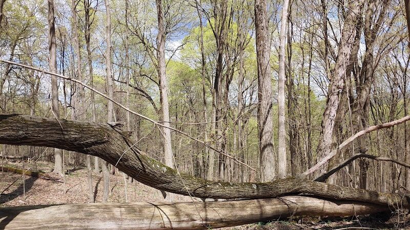 Duff Park - Murrysville, PA