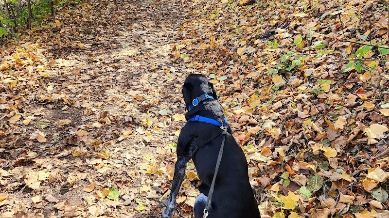 Duff Park - Murrysville, PA