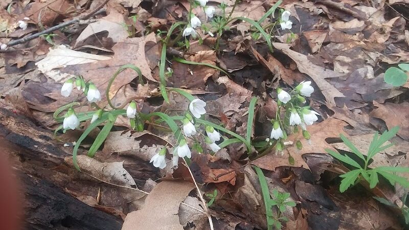 Duff Park - Murrysville, PA