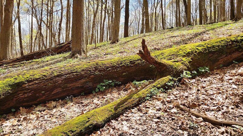 Duff Park - Murrysville, PA