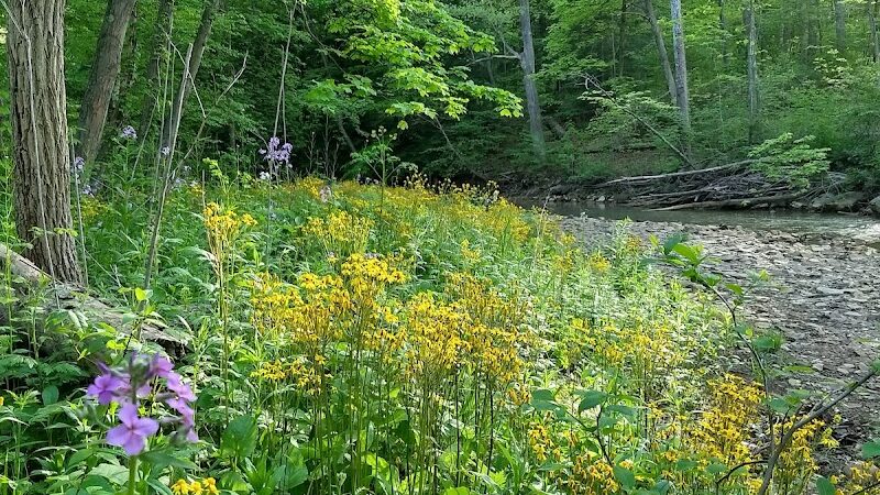 Duff Park - Murrysville, PA