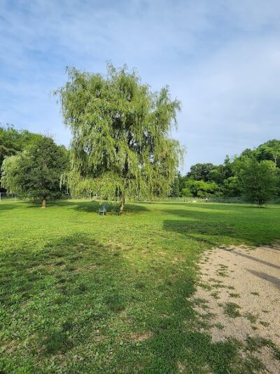 Paws on the Run Dog Park - Murrysville, PA
