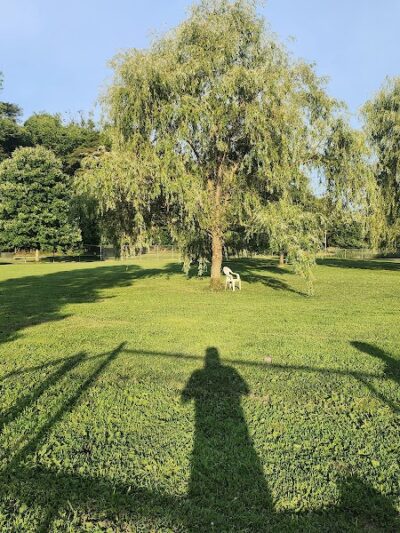 Paws on the Run Dog Park - Murrysville, PA