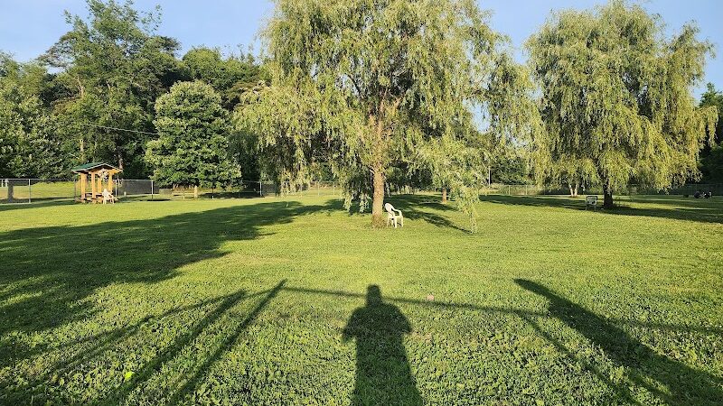 Paws on the Run Dog Park - Murrysville, PA