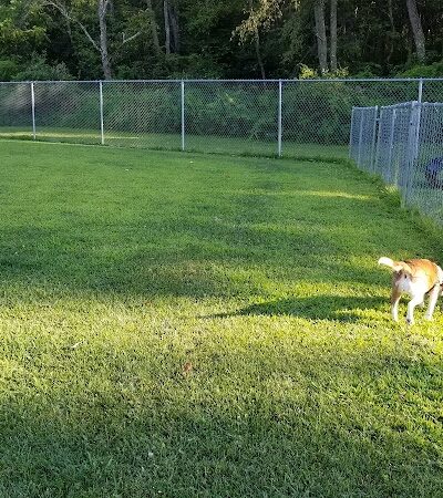Paws on the Run Dog Park - Murrysville, PA