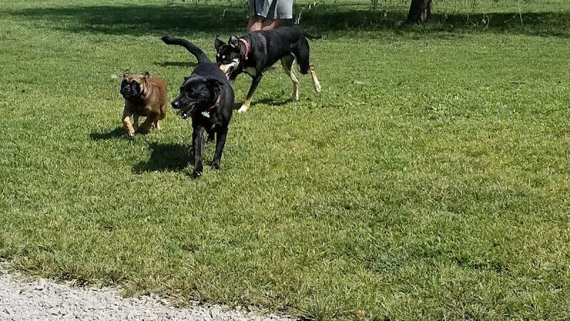 Paws on the Run Dog Park - Murrysville, PA